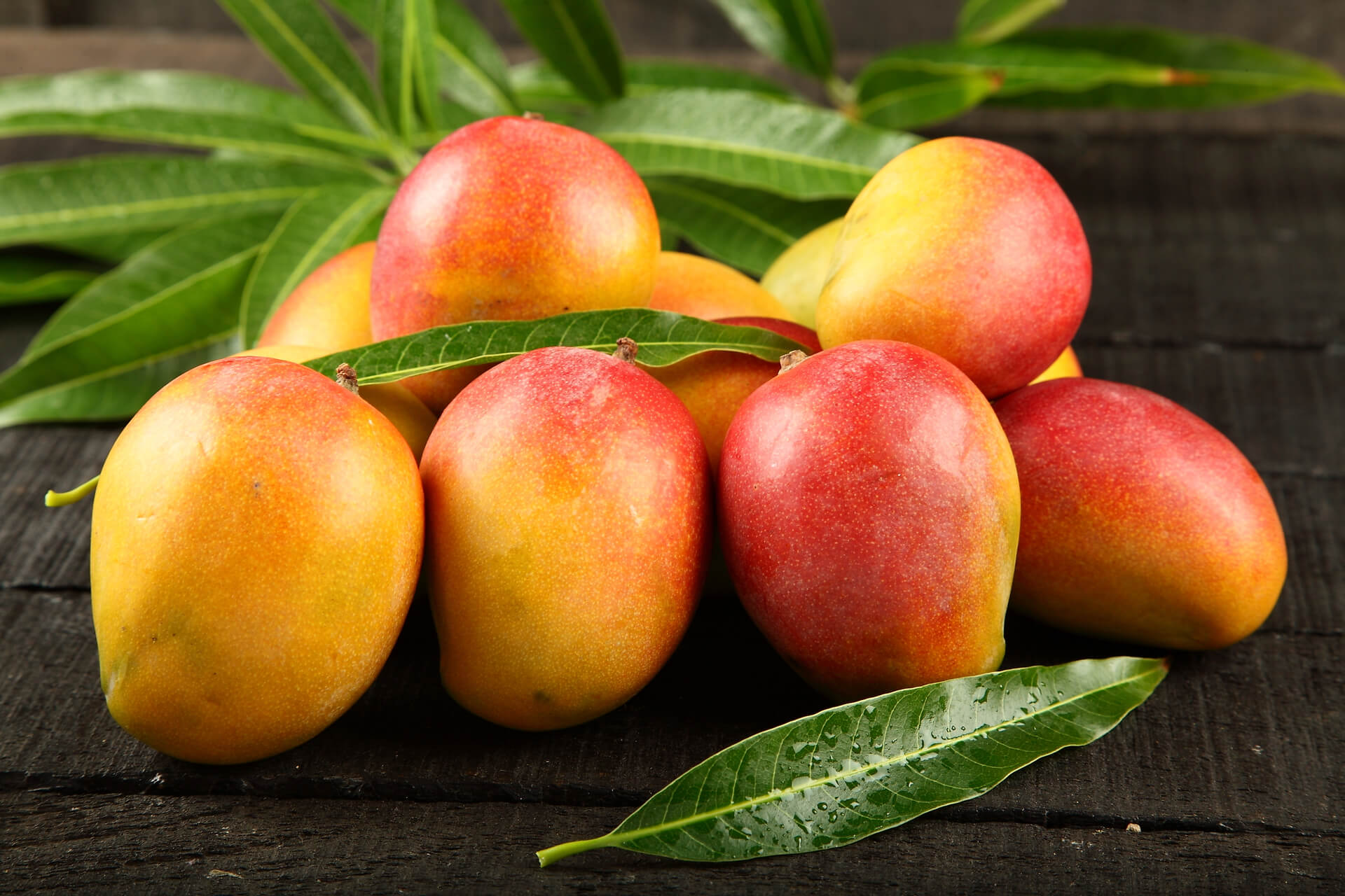 panettone-con-il-mango-marchesi
