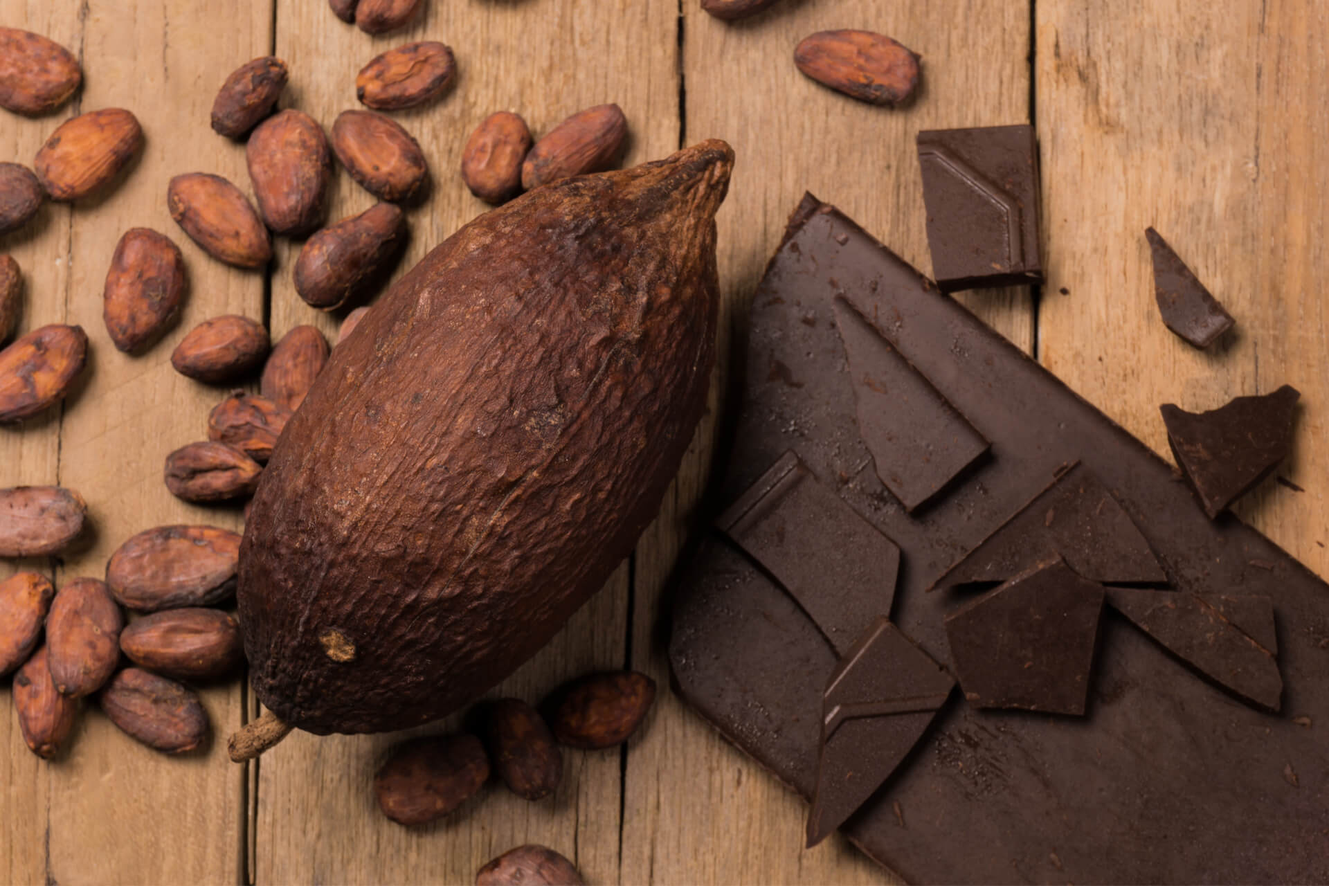 cioccolato-panettone-marchesi