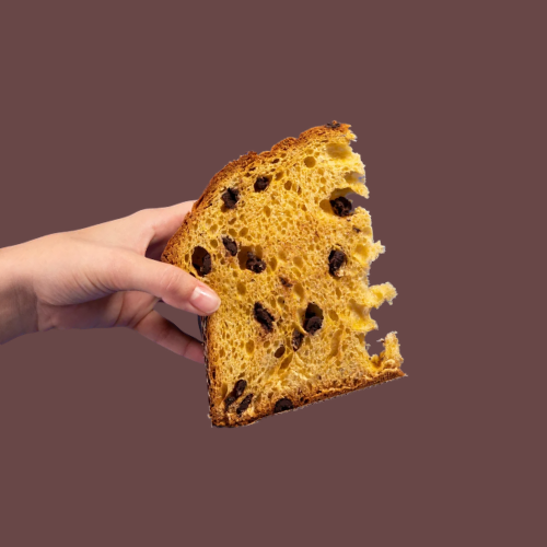 Panettone Cioccolato Fondente 4 Panettone Cioccolato Fondente